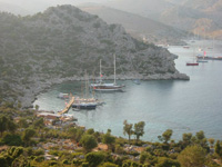 142-4257_IMG.JPG