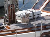 img_1190.jpg