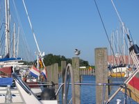 img_1283.jpg